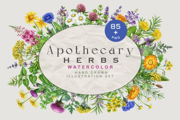 Download Apothecary Herbs Illustration Set - Set Collection