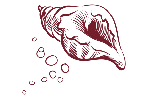 Download Seashell Sketch. Ink Line Style Mollusk - Ink Collection