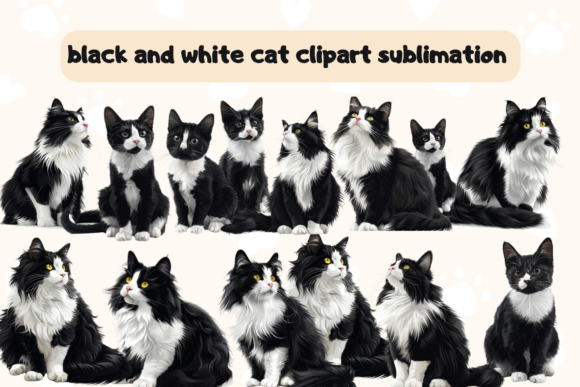 Download Cute Black and White Cat Clipart - Cute Collection
